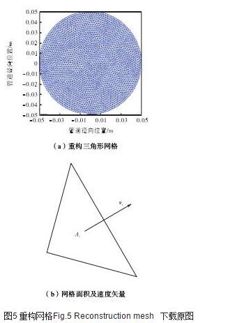 圖5 重構(gòu)網(wǎng)格Fig.5 Reconstruction mesh