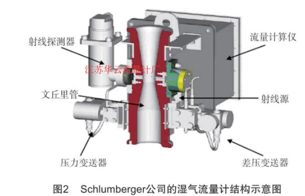 圖2 schlumberger 公司的濕氣流量計結(jié)構(gòu)示意圖