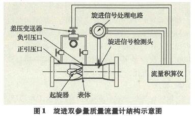 圖1旋進雙參f質(zhì)f流f計結(jié)構(gòu)示意圖